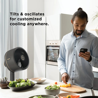 All Day Breeze Misting Fan
