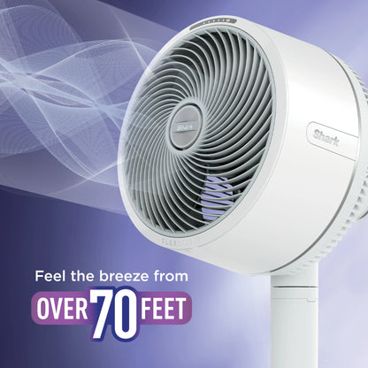 All Day Breeze Misting Fan